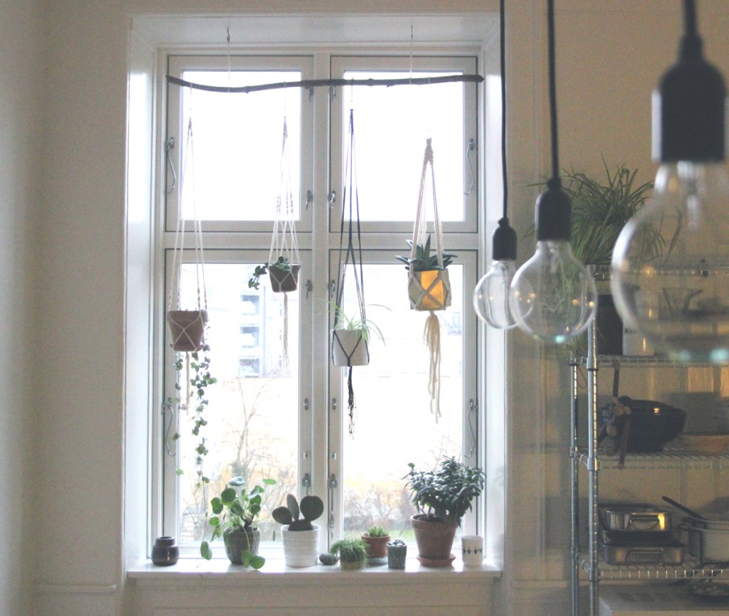 window macrame plant hangers