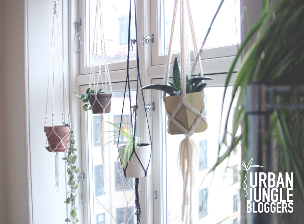 macrame plant hangers