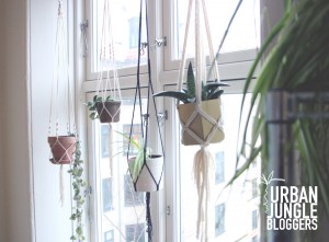 macrame hanging planters